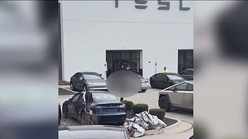Video from March 22, 2025, shows the person on the Tesla lot gesturing toward protestors as...