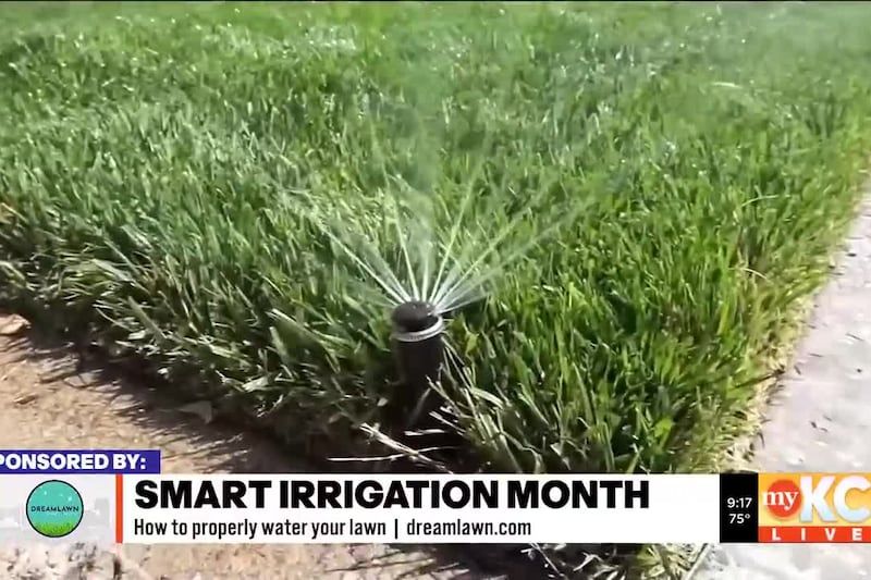 The experts at DreamLawn Kansas City share great tips to keep your lawn green during the hot...