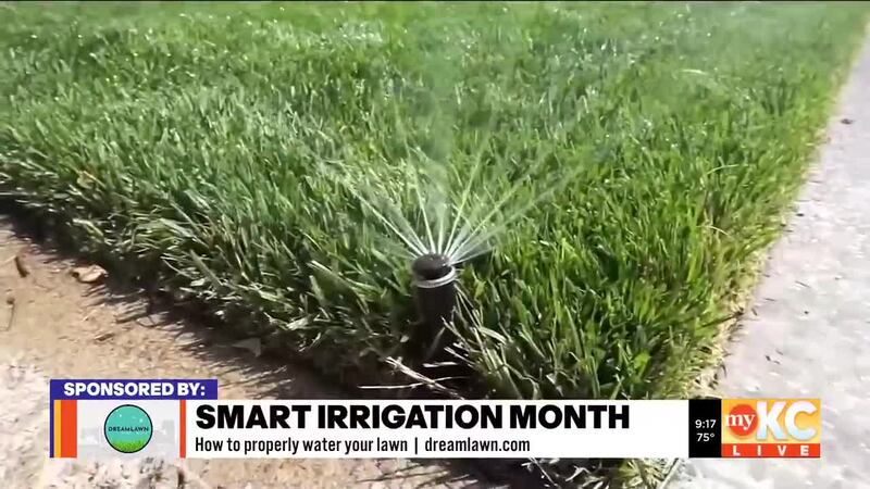 The experts at DreamLawn Kansas City share great tips to keep your lawn green during the hot...