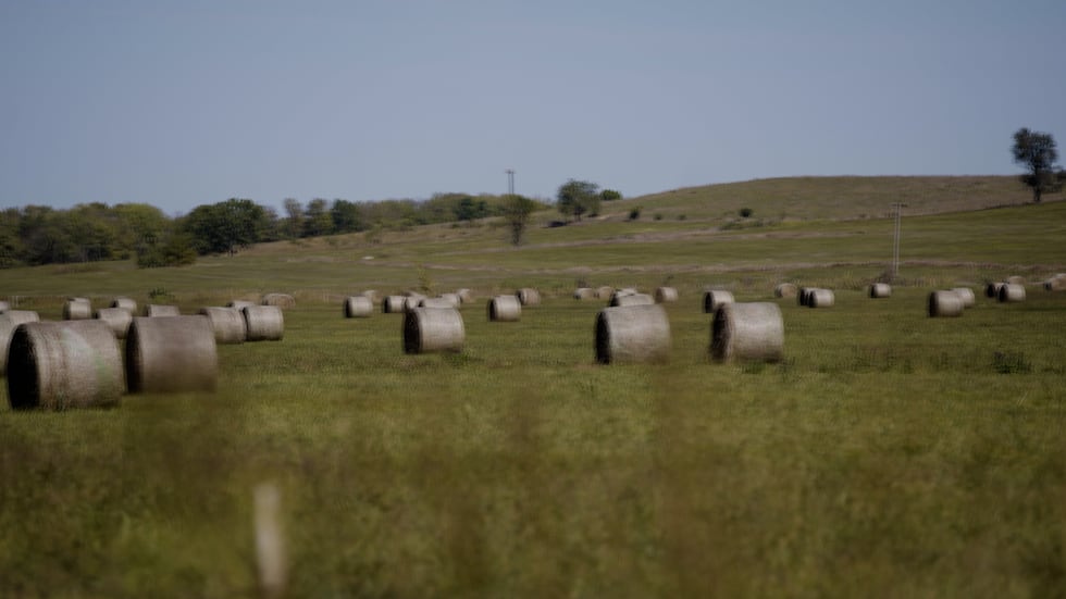 A 2020 study by the Missouri Hospital Association found that 57 of those 99 rural counties are...