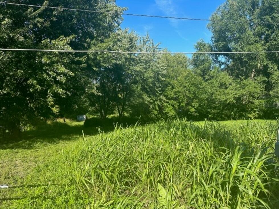 An empty lot in Jackson County was assessed at $356,270.