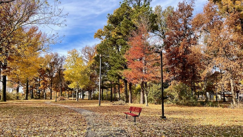FILE — A chilly, but beautiful sunny day at Campbell City Park.