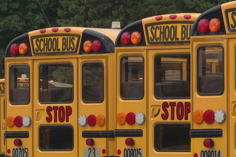 School busses