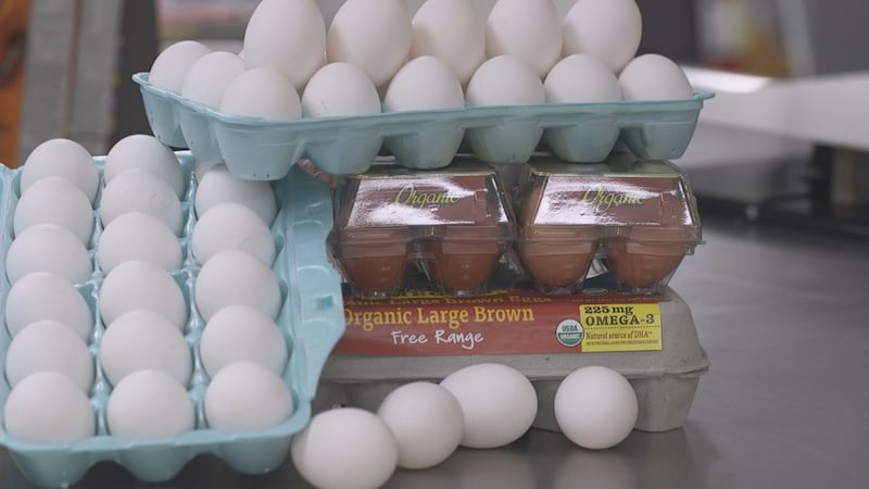 Consumer Report: Egg prices