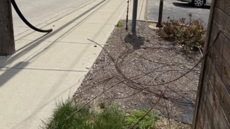 Picture shows a number of cut wires dangling from a power pole in a muddy area next to a...