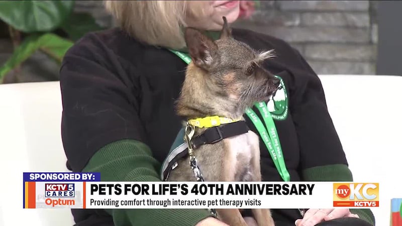 Pets for Life’s Fran Lancaster and Dr. Julie Krough join Shane and Kerrigan to share their...