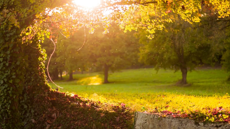 Picture of a park