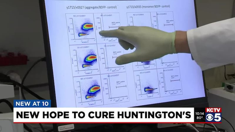 Researchers at the Stowers Institute for Medical Research have made a stunning discovery that...