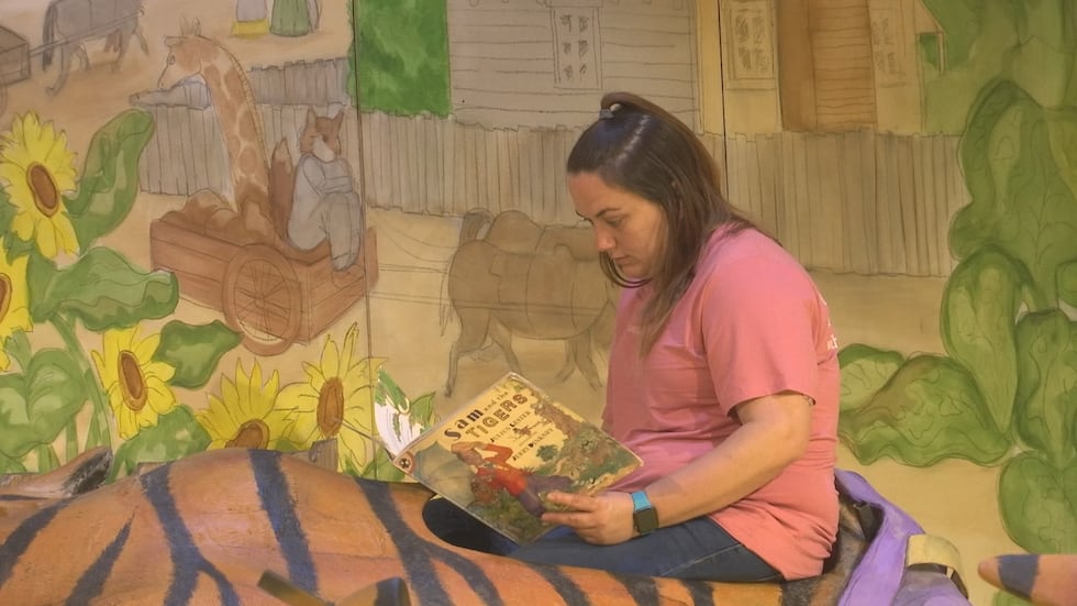 The Rabbit Hole’s new Children’s Literature Museum opened its doors to the public in North...