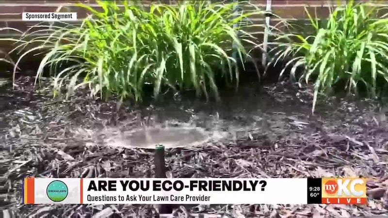 Now is the time to start thinking about getting your lawn in tip-top shape! The experts at...