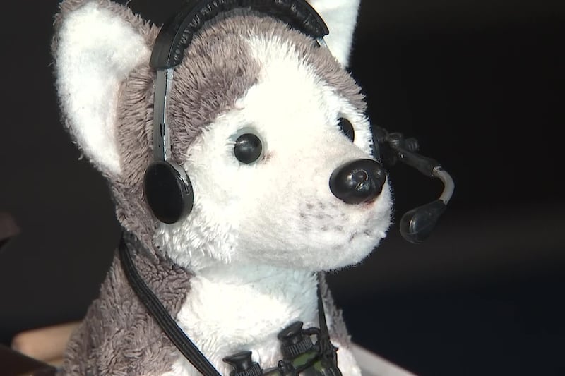 While plenty of dogs were in the stands, another -- “Dexter the Dog” -- was in the press box....