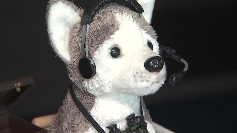 While plenty of dogs were in the stands, another -- “Dexter the Dog” -- was in the press box....